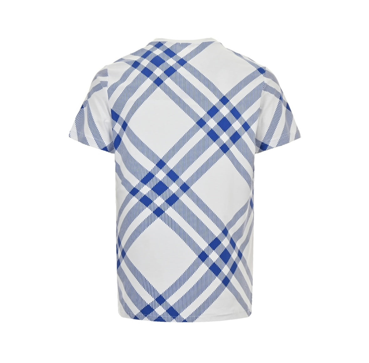 BB T-Shirt Vit Blå